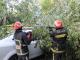 Сильний вітер на Кіровоградщині додав роботи рятувальникам (ФОТО)