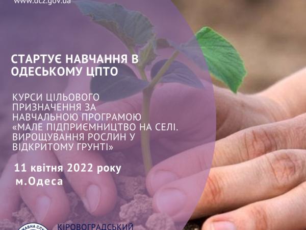 Новина Безробітних Кіровоградщини навчать вирощувати овочі Ранкове місто. Кропивницький