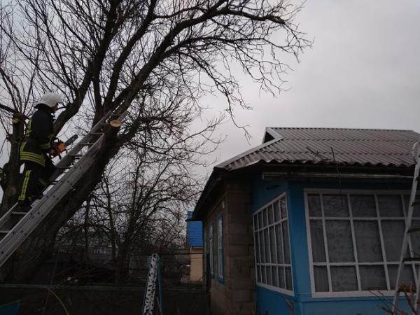 Новина На Кіровоградщині провели операцію по розпилюванню та прибиранню повалених дерев Ранкове місто. Кропивницький
