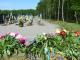 У Кропивницькій міській раді розглянули петицію щодо процедури поховань захисників