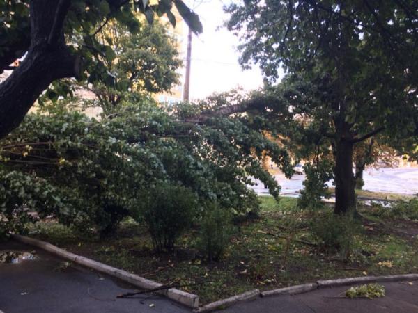 Новина Сьогодні шквальний вітер зірвав дах на балашівському ринку та повалив дерева (ФОТО) Ранкове місто. Кропивницький