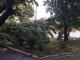 Сьогодні шквальний вітер зірвав дах на балашівському ринку та  повалив дерева (ФОТО)