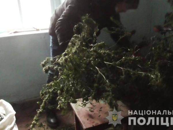 Новина Кіровоградщина: 40-річний чоловік зберігав удома коноплю Ранкове місто. Кропивницький