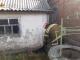 Кіровоградщина: У Новоукраїнці собака потрапив до колодязя з дощовою водою