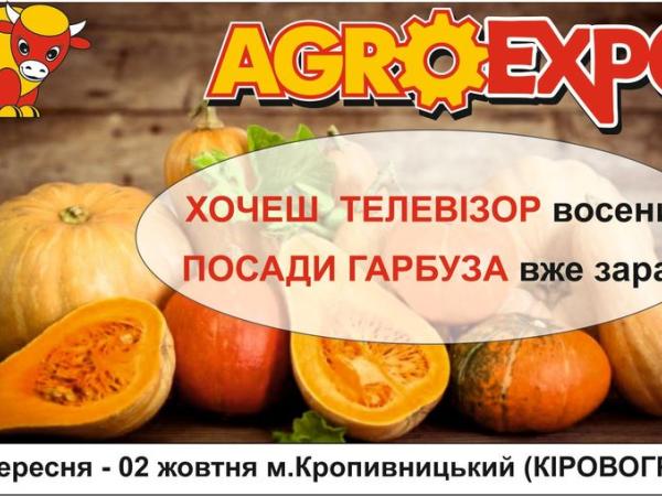 Новина AGROEXPO-2021 традиційно пройде конкурс «Гарбуз-велетень» Ранкове місто. Кропивницький