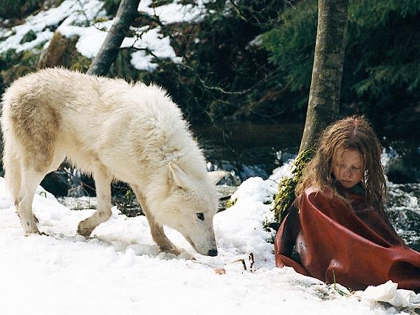 Новина На «Интере» – две кинопремьеры: «Выжить среди волков» и «Любовь и страсть. Далида» (ВИДЕО) Ранкове місто. Кропивницький