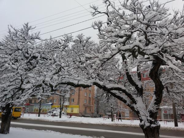 Новина Погода у Кропивницькому 23 лютого, у суботу Ранкове місто. Кропивницький