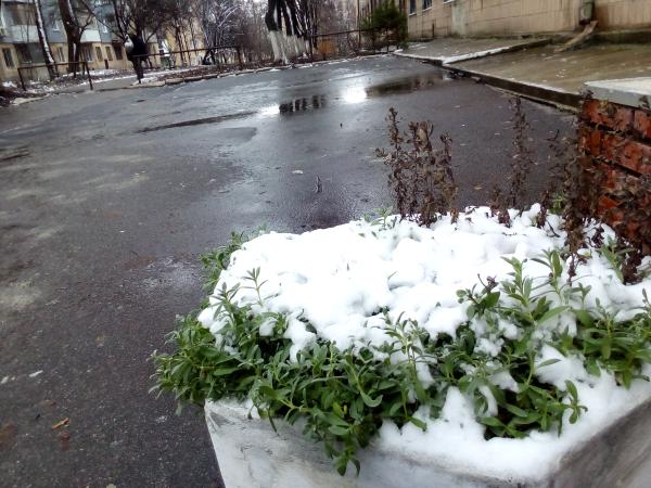 Новина Весна зустрічає снігом: Погода у Кропивницькому сьогодні, 19 березня Ранкове місто. Кропивницький