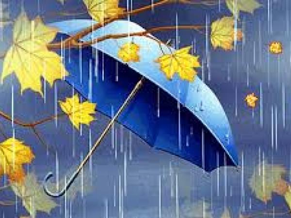 Новина І знову дощитиме у Кропивницькому: погода на 11 вересня Ранкове місто. Кропивницький