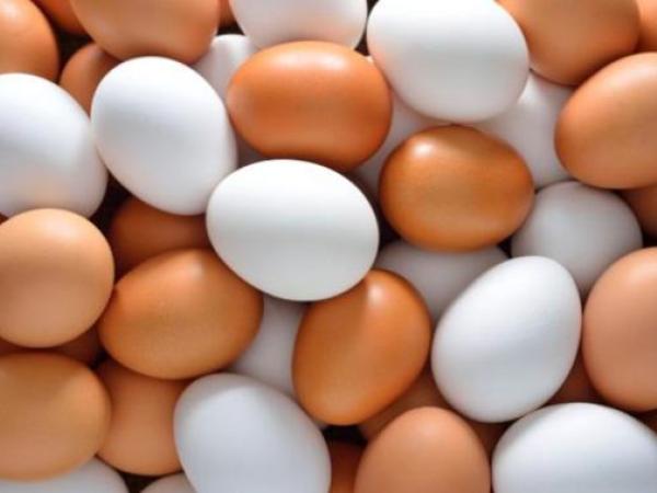 Новина Мінагрополітики: Ціна на яйця у листопаді має стабілізуватися Ранкове місто. Кропивницький