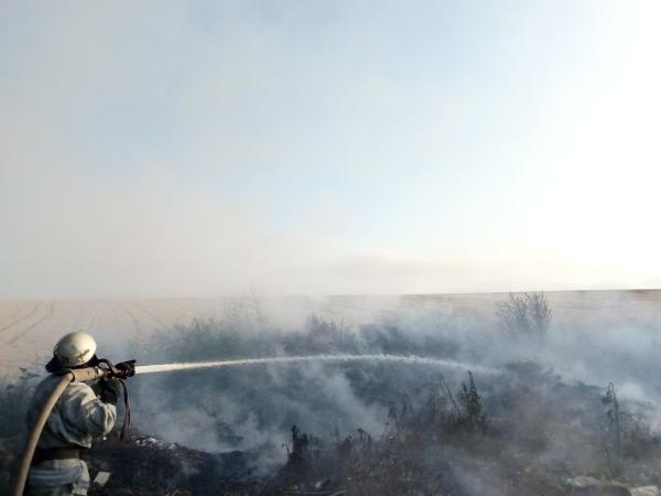 Новина На Кіровоградщині за добу виникло дві пожежі - хмизу та сміття Ранкове місто. Кропивницький