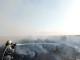 На Кіровоградщині за добу виникло дві пожежі - хмизу та сміття