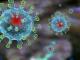 21 квітня: Кіровоградщина: Серед 150 перевірених на коронавірус - один інфікований
