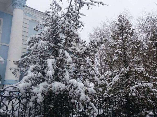 Новина Кропивницький у снігу (ФОТО) Ранкове місто. Кропивницький