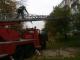 Як на Миколаївці рятувальники допомогли зняти з дерева кошеня