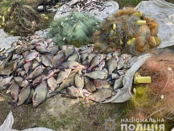 Новина На Кременчуцькому водосховищі браконьєри наловили риби на двісті тисяч Ранкове місто. Кропивницький