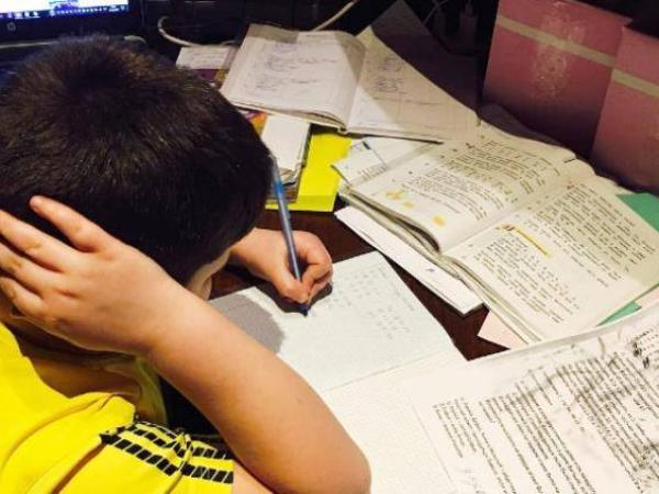 Новина Кропивничани просять відмінити у школах домашнє завдання Ранкове місто. Кропивницький