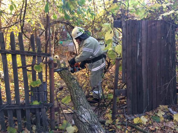 Новина У Кіровоградській області рятувальники двічі розпилювали аварійні дерева Ранкове місто. Кропивницький