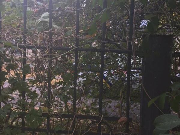 Новина У Кропивницькому троє молодиків розбирали металевий паркан біля нежилого будинку Ранкове місто. Кропивницький