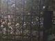 У Кропивницькому троє молодиків розбирали металевий паркан біля нежилого будинку