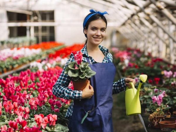 Новина Безробітні Кіровоградщини можуть безкоштовно пройти курси з вирощування квітів Ранкове місто. Кропивницький