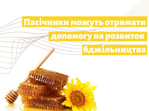 Новина Пасічники з Кіровоградщини можуть отримати по 200 грн за бджолосім’ю Ранкове місто. Кропивницький