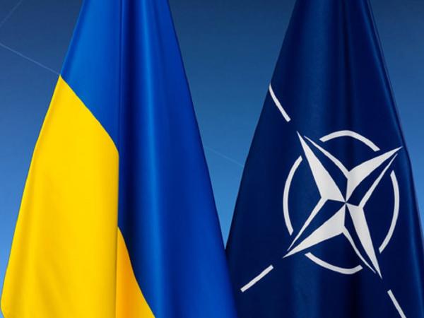 Новина Збройні Сили України долучатимуться до навчань НАТО Ранкове місто. Кропивницький