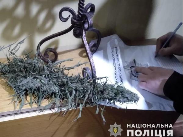 Новина На Кіровоградщині наркоділець пропонував поліції «співпрацю» Ранкове місто. Кропивницький