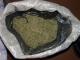 В поезде, который ехал из Крыма нашли несколько кило марихуаны (ФОТО)
