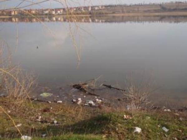 Новина Донецкое море и его пляжи хотят почистить Ранкове місто. Кропивницький