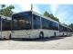 У Кропивницькому на маршрути виведуть нові автобуси