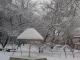 Чи йтиме сніг сьогодні у Кропивницькому?