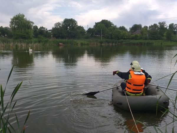 Новина Кіровоградщина: У річці Синиця лебеді потрапили до рибацької сітки Ранкове місто. Кропивницький