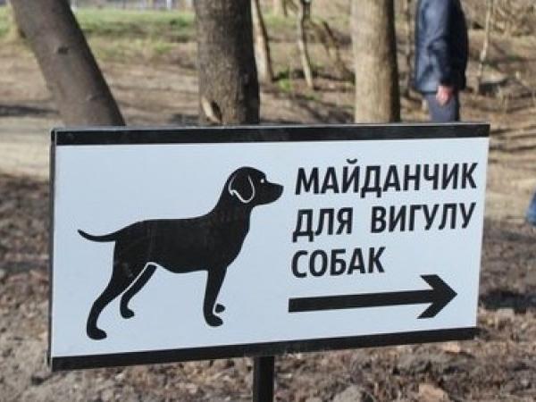 Новина Кропивничани хочуть створити майданчик для дресирування собак Ранкове місто. Кропивницький