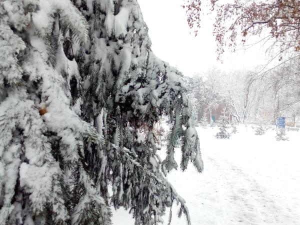 Новина Погода у Кропивницькому у суботу, 26 січня Ранкове місто. Кропивницький