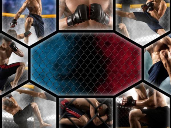 Новина Бокс, Bellator и UFC: новости боевых единоборств Ранкове місто. Кропивницький