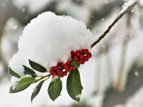 Новина Погода у Кропивницькому 1 грудня, у перший день зими Ранкове місто. Кропивницький