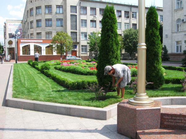 Новина Понад 10 тисяч мешканців Кіровоградщини отримали тимчасову роботу Ранкове місто. Кропивницький