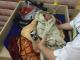 Кропивницький: до дитячої обласної лікарні підкинули новонародженого хлопчика (ВІДЕО)