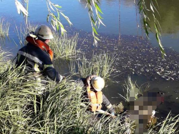 Новина На Олександрійщині потонув 50-річний чоловік Ранкове місто. Кропивницький