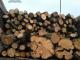 На Кіровоградщині зупинили водія, який незаконно перевозив деревину