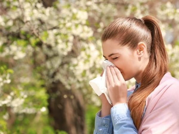Новина Як полегшити свій стан за алергії, коли немає доступу до медичної допомоги Ранкове місто. Кропивницький