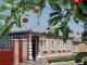 Кропивницький: Музей Карпенка-Карого зачиняється на карантин