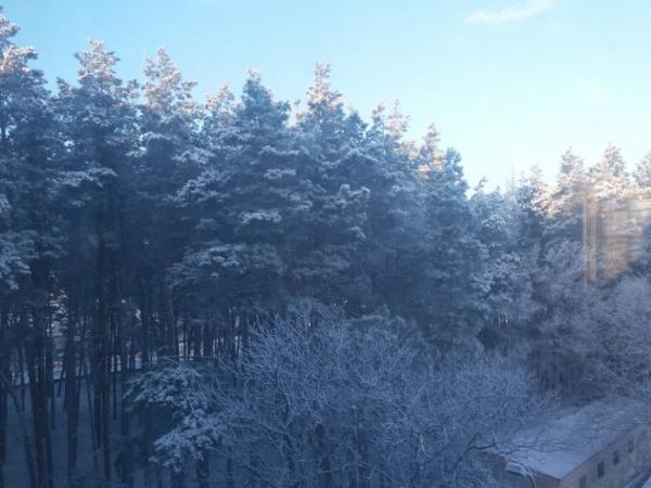 Новина Прогноз погоди на 17 лютого: у Кропивницькому очікується весняна погода Ранкове місто. Кропивницький