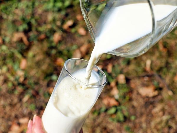 Новина Кропивницький: Чи можна пити молоко зі стихійного ринку? (РЕЗУЛЬТАТИ АНАЛІЗІВ) Ранкове місто. Кропивницький