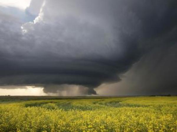 Новина Сегодня в Украине объявлено штормовое предупреждение Ранкове місто. Кропивницький