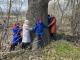 Кіровоградщина: Новопразький «Дуб Вартовий» планують визнати пам’яткою природно-заповідного фонду