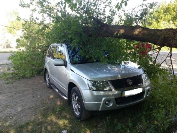 Новина На Кіровоградщині гілка старого дерева впала на автівку Ранкове місто. Кропивницький