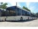 Кропивницький: З сьогоднішнього дня внесені зміни у розклад руху автобусу № 116