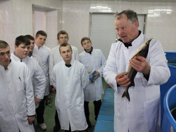 Новина Безробітні Кіровоградщини можуть стати кваліфікованими рибоводами Ранкове місто. Кропивницький